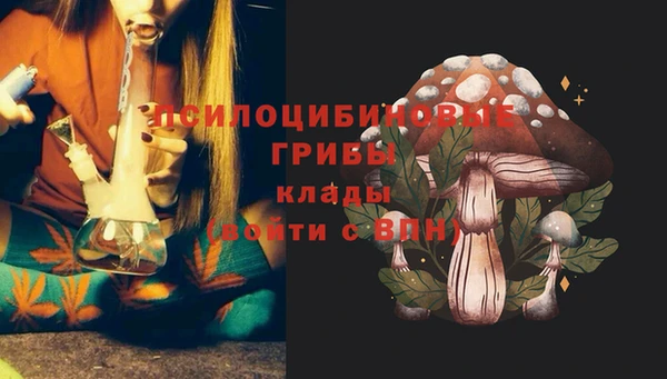 хмурый Козловка