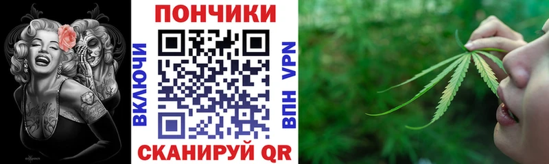 магазин продажи наркотиков  Болохово  Марихуана планчик 